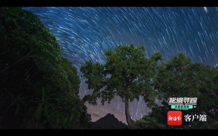 敢死队3中文版