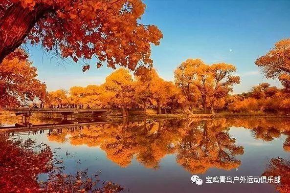“领完奖励，我的元梦好友都变灰了”