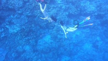 南奥塞梯共和国，为何死心塌地呢？你可能想不到