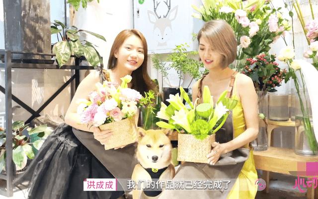 又双叒是什么意思?-分享与讨论的红迪社区