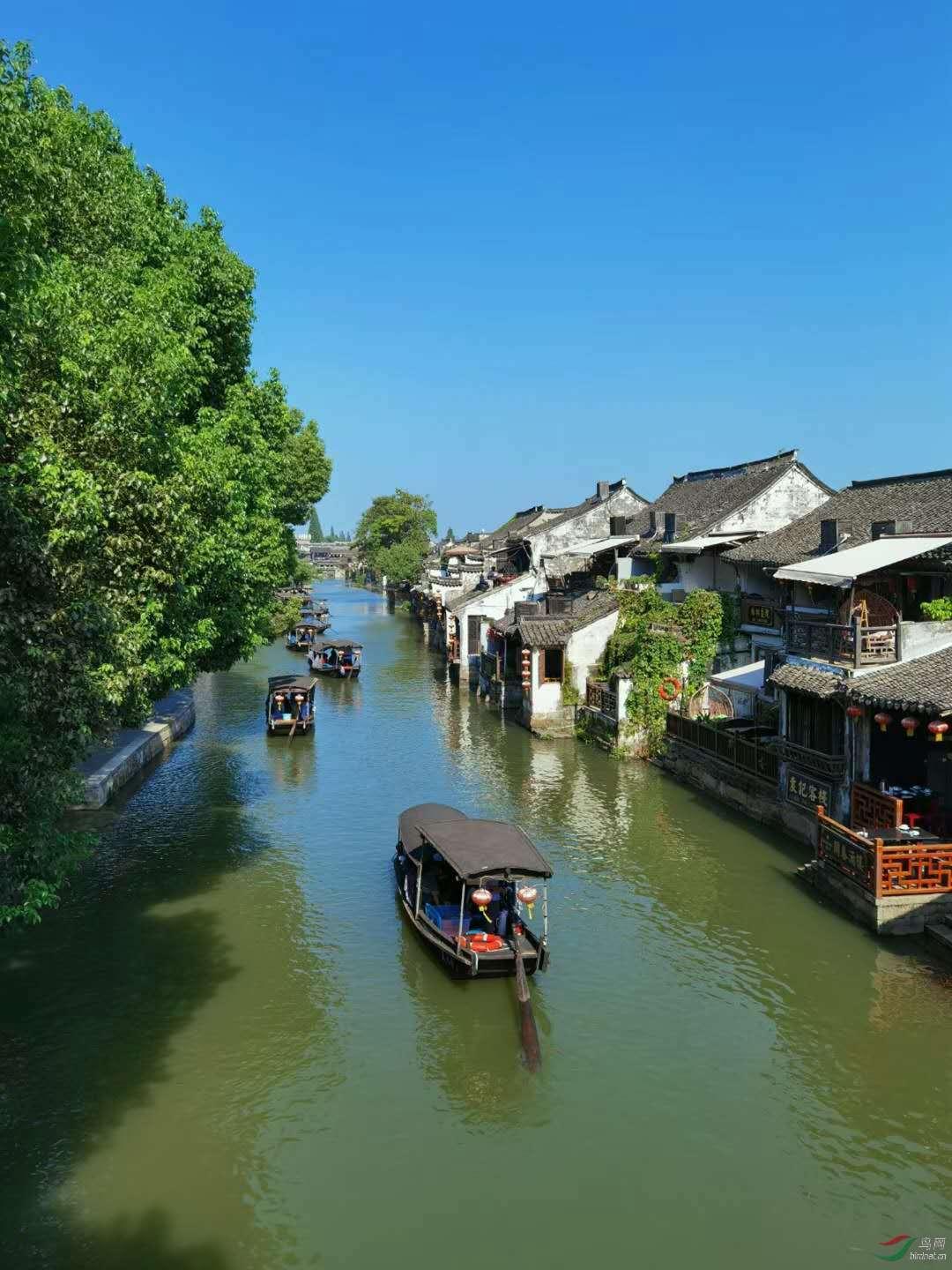 卡哇伊拳击手
